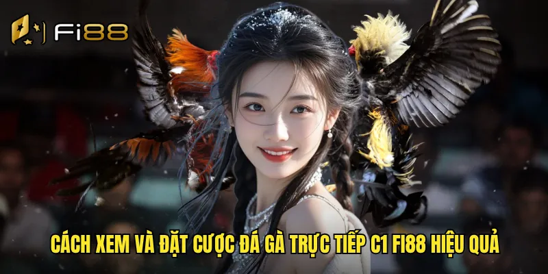 Đá Gà Trực Tiếp C1 Fi88 Chất Lượng Full HD Phát Sóng 24/7 3 Cách xem và đặt cược đá gà trực tiếp c1 Fi88 hiệu quả