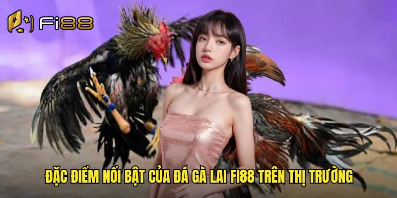 Đá Gà Lai Fi88 Kết Hợp Ưu Điểm Nhiều Giống Sức Mạnh Vượt Trội 2 Đặc điểm nổi bật của đá gà lai Fi88 trên thị trường