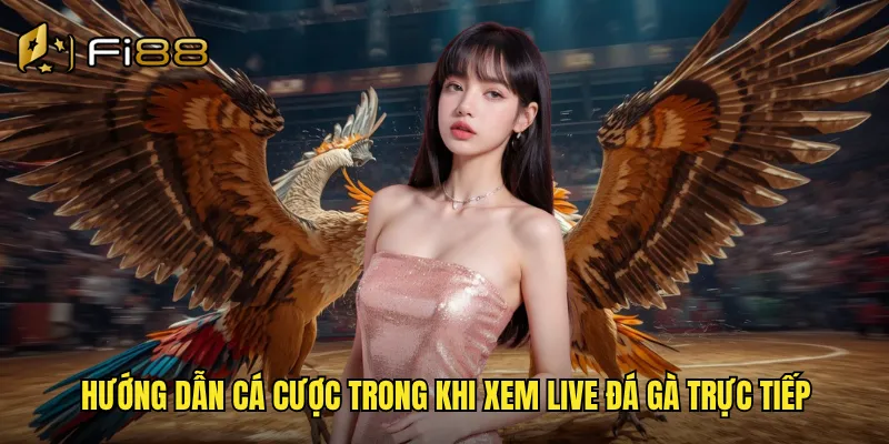 Hướng dẫn cá cược trong khi xem live đá gà trực tiếp